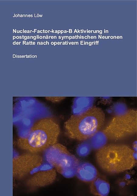 Nuclear-Factor-kappa-B Aktivierung in postganglionären sympathischen Neuronen der Ratte nach oparativem Eingriff - Johannes Löw
