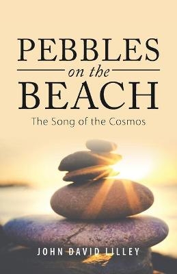 Pebbles on the Beach - JOHN DAVID LILLEY