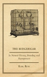 Budgerigar - Its Natural History, Breeding and Management -  Karl Russ