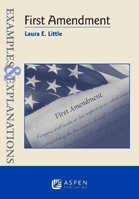 Examples & Explanations for First Amendment - Laura E Little