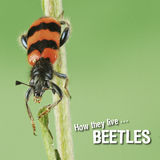 How they live... Beetles -  Ivan Esenko,  David Withrington