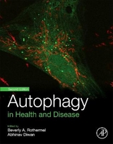 Autophagy in Health and Disease - Rothermel, Beverly; Diwan, Abhinav