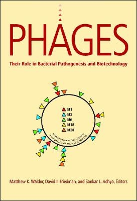 Phages – Their Role in Pathogen and Biotechnology - MK Waldor