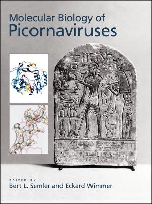 Molecular Biology of Picornavirus - BL Semler