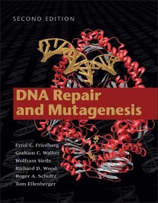 DNA Repair and Mutagenesis 2nd Edition - EC FRIEDBERG