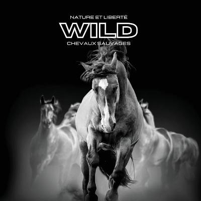 Nature et Libert� WILD Chevaux Sauvages - Hayden Clayderson