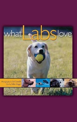 What Labs Love - Ed Camelli