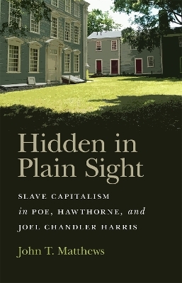 Hidden in Plain Sight - John T. Matthews