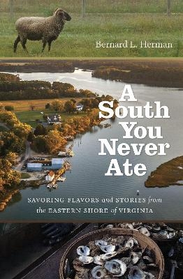 A South You Never Ate - Bernard L. Herman