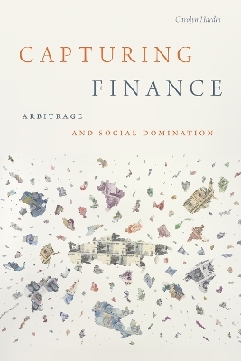 Capturing Finance - Carolyn Hardin