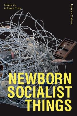 Newborn Socialist Things - Laurence Coderre