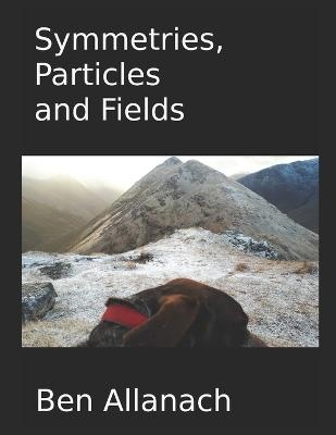 Particles and Fields Symmetries - Ben Allanach