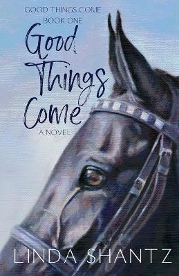 Good Things Come - Linda Shantz