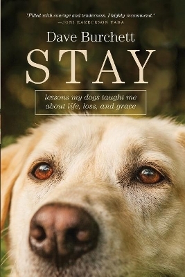 Stay - Dave Burchett