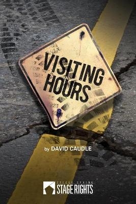 Visiting Hours - David Caudle