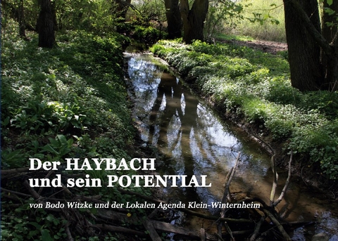 Der HAYBACH und sein POTENTIAL - Bodo Witzke, Lokale Agenda Klein-Winternheim