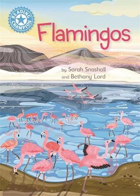 Reading Champion: Flamingos - Sarah Snashall