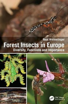 Forest Insects in Europe - Beat Wermelinger