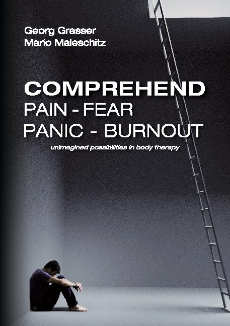 Comprehend Pain-Fear-Panic-Burnout - Mario Maleschitz, Georg Grasser