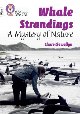 Whale Strandings: A Mystery of Nature - Claire Llewellyn