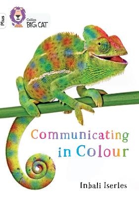 Communicating in Colour - Inbali Iserles