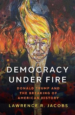 Democracy under Fire - Lawrence R. Jacobs