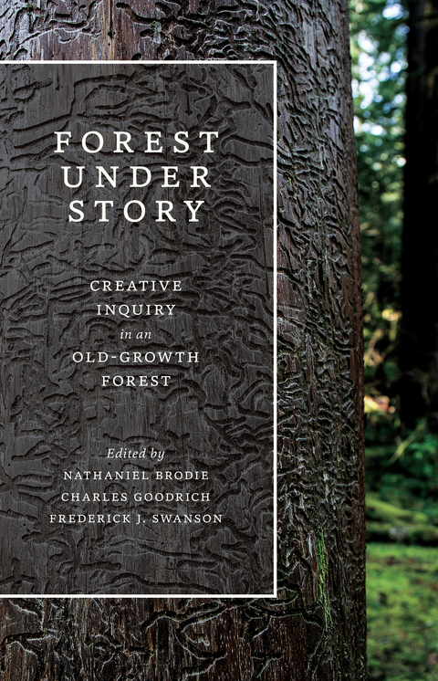 Forest Under Story - 