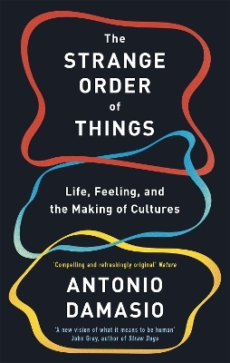 The Strange Order Of Things - Antonio Damasio