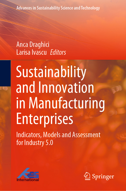 Sustainability and Innovation in Manufacturing Enterprises - 