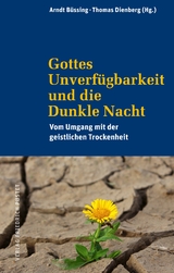 Gottes Unverfügbarkeit und die Dunkle Nacht - 