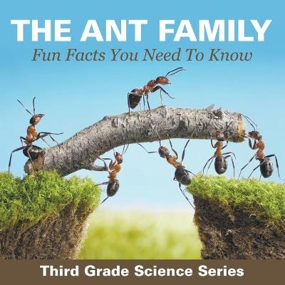 The Ant Family - Fun Facts You Need To Know -  Baby Professor