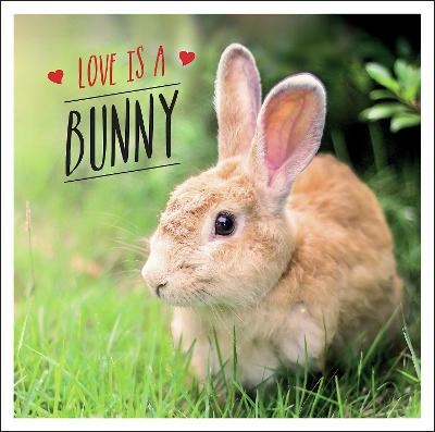 Love is a Bunny - Charlie Ellis