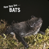 How they live... Bats - David Withrington, Ivan Esenko