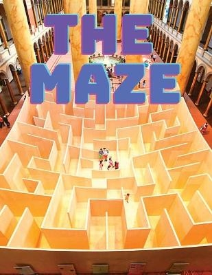 Maze Puzzles Book -  Exotic Publisher