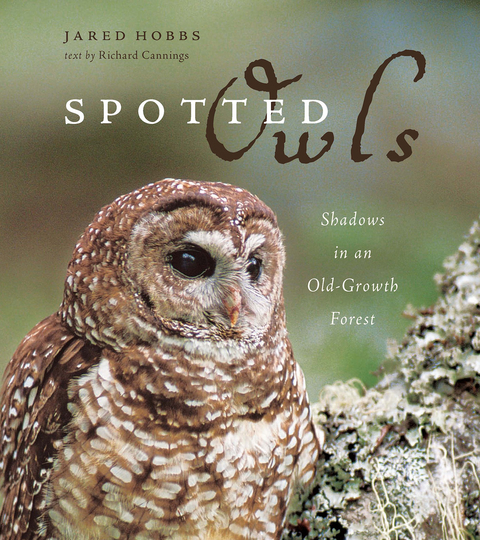 Spotted Owls -  Jared