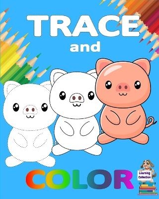 Trace and Color -  Axinte