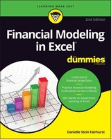 Financial Modeling in Excel For Dummies - Fairhurst, Danielle Stein