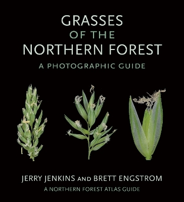 Grasses of the Northern Forest - Jerry Jenkins, Brett Engstrom