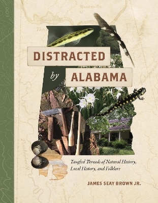 Distracted by Alabama - James Seay Brown