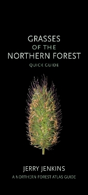 Grasses of the Northern Forest - Jerry Jenkins