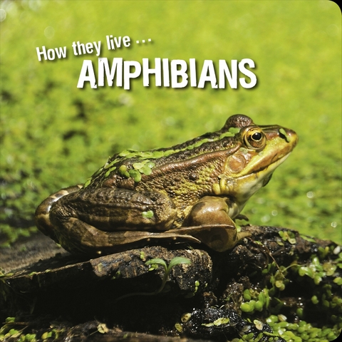 How they live... Amphibians -  Ivan Esenko,  David Withrington