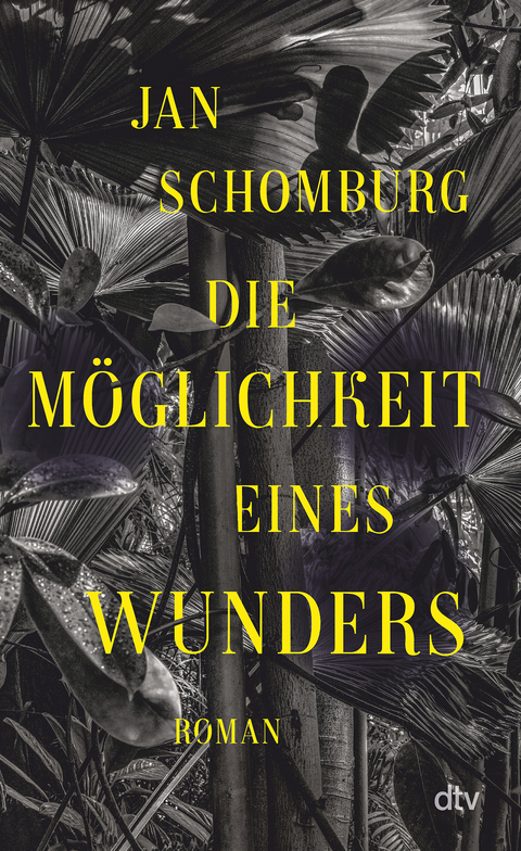 Die Möglichkeit eines Wunders - Jan Schomburg