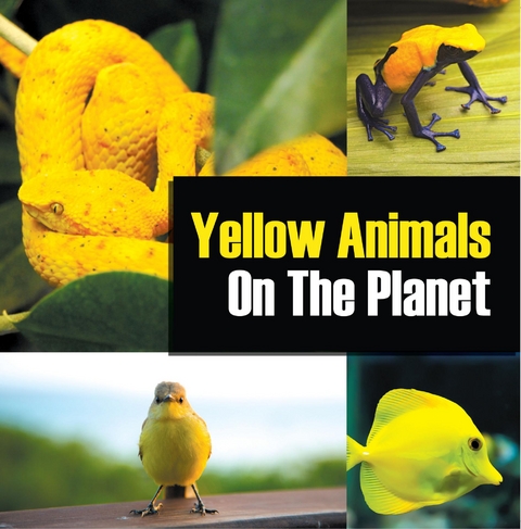 Yellow Animals On The Planet -  Baby Professor