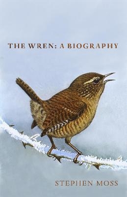 The Wren - Stephen Moss