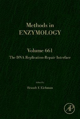 The DNA Replication-Repair Interface - 