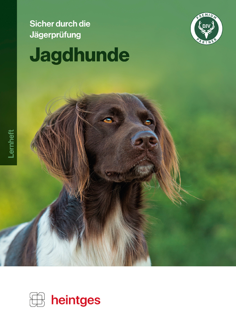 Jagdhunde - 