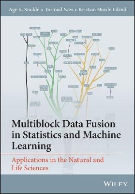 Multiblock Data Fusion in Statistics and Machine Learning - Age K. Smilde, Tormod Næs, Kristian Hovde Liland
