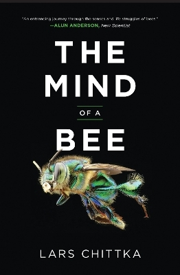 The Mind of a Bee - Lars Chittka