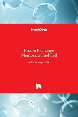 Proton Exchange Membrane Fuel Cell - 