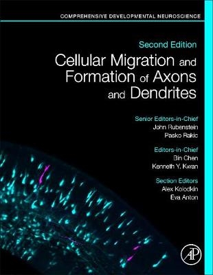 Cellular Migration and Formation of Axons and Dendrites - 